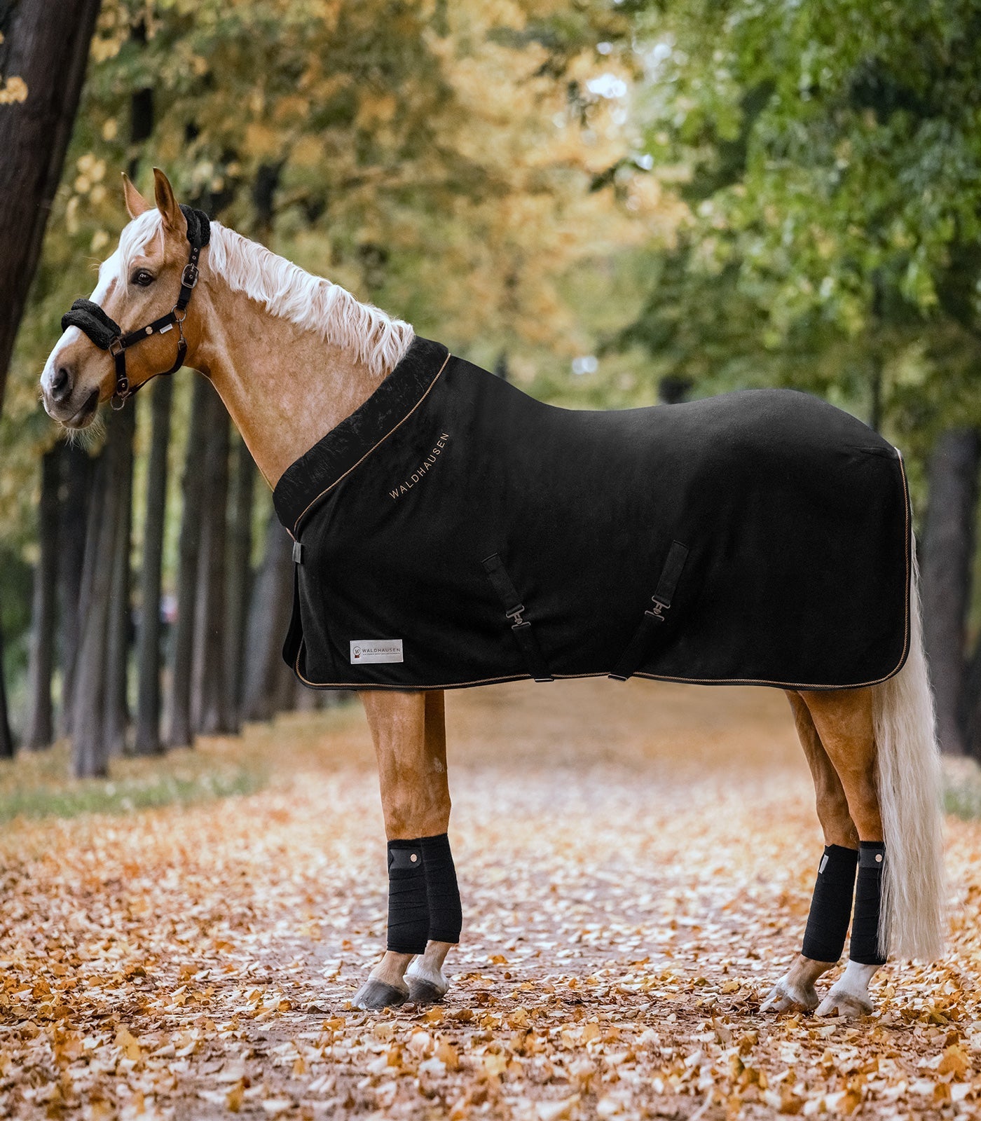 Waldhausen Fleece tæppe moderne rosé sort/guld 10