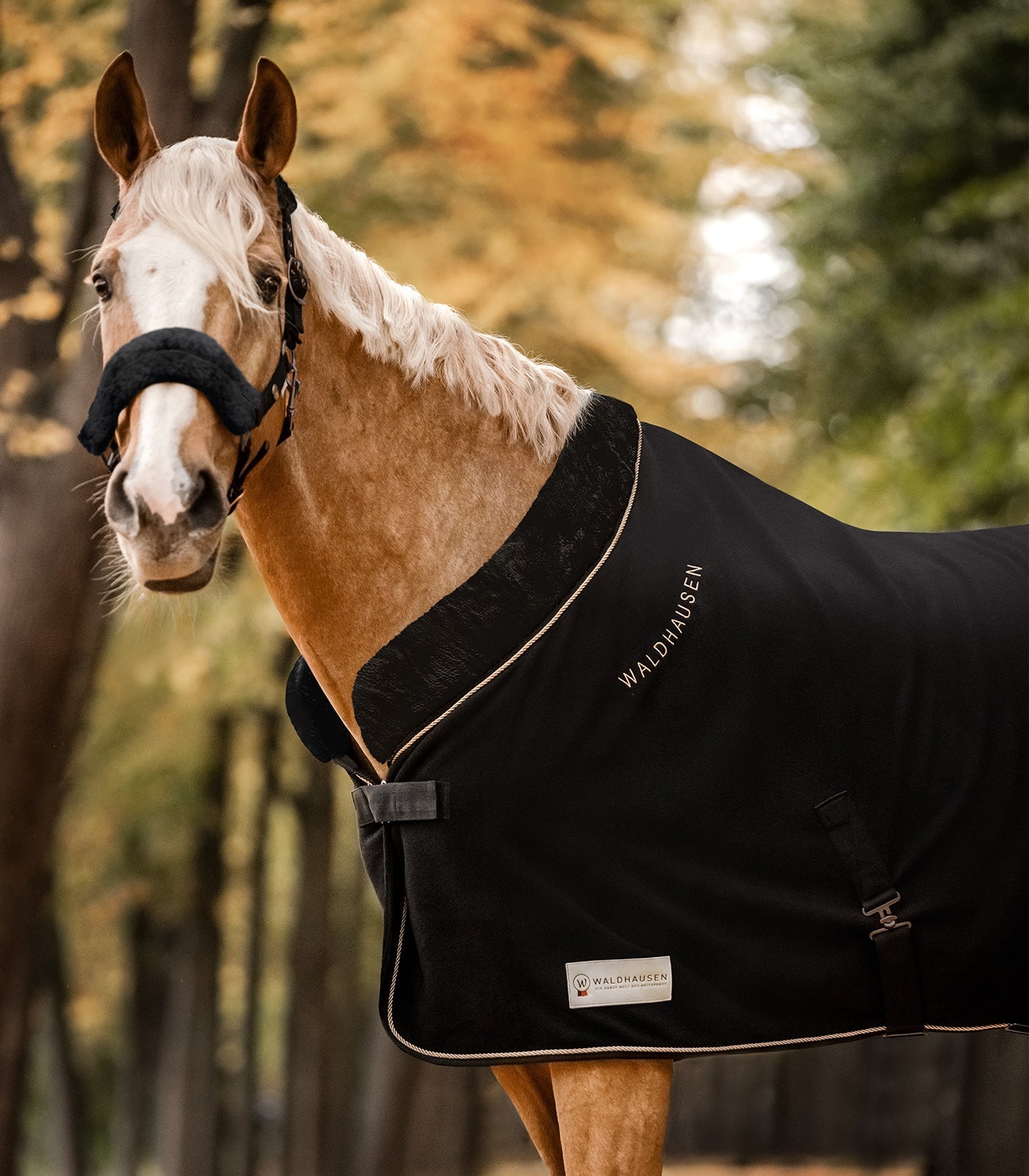 Waldhausen Fleece tæppe moderne rosé sort/guld 11