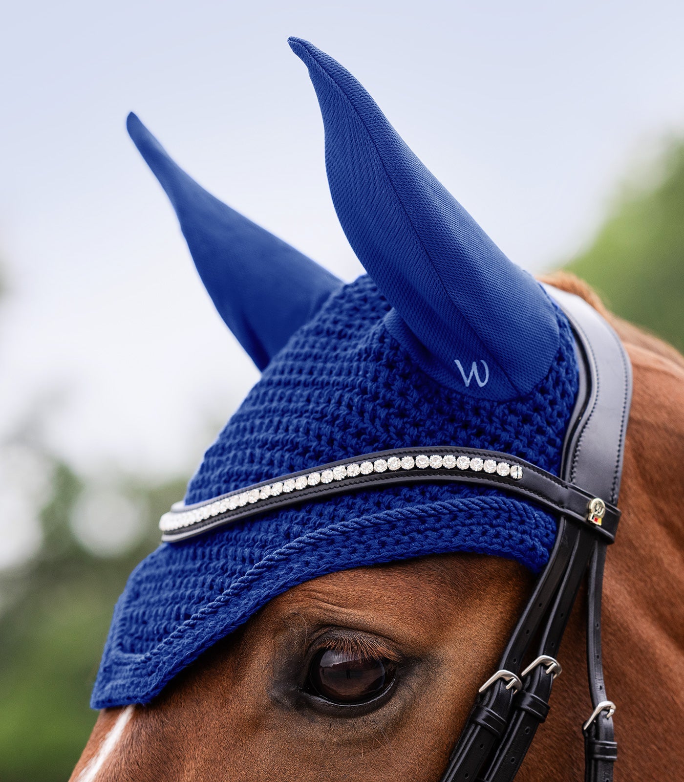 Waldhausen Fly Veil Basic, safirblå, Fuldt 2