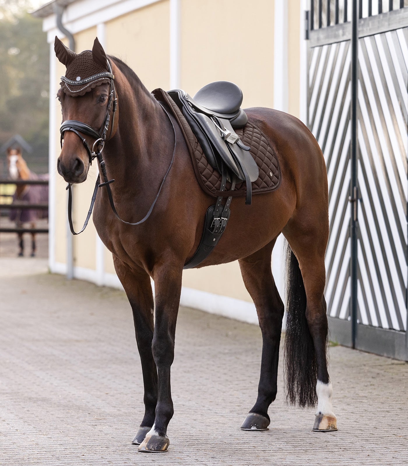 Waldhausen Saddle Pad Nepal, brun, VSS 4