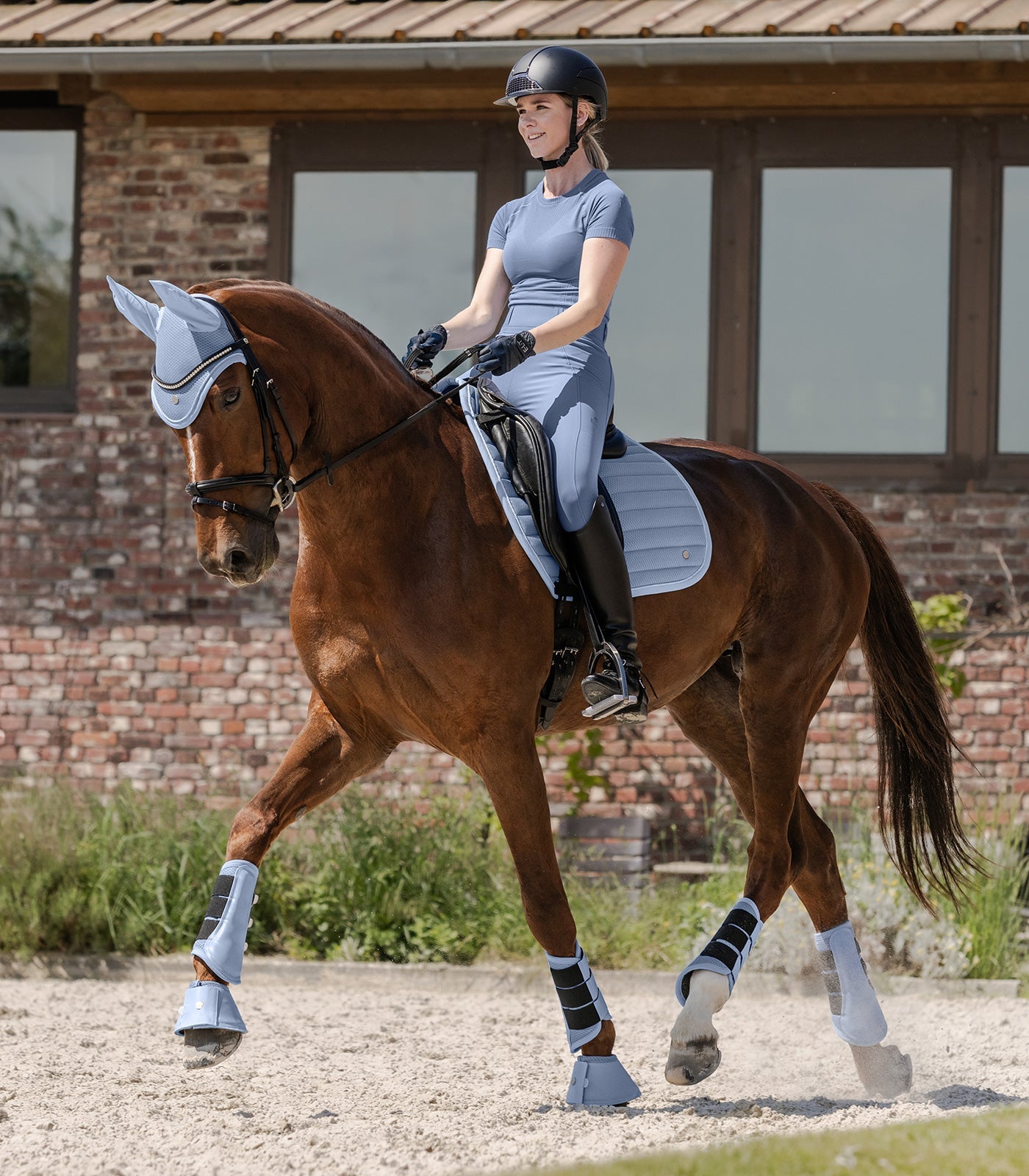 Waldhausen Flyears Rimini, pastelfarvet blå, Fuldt 4
