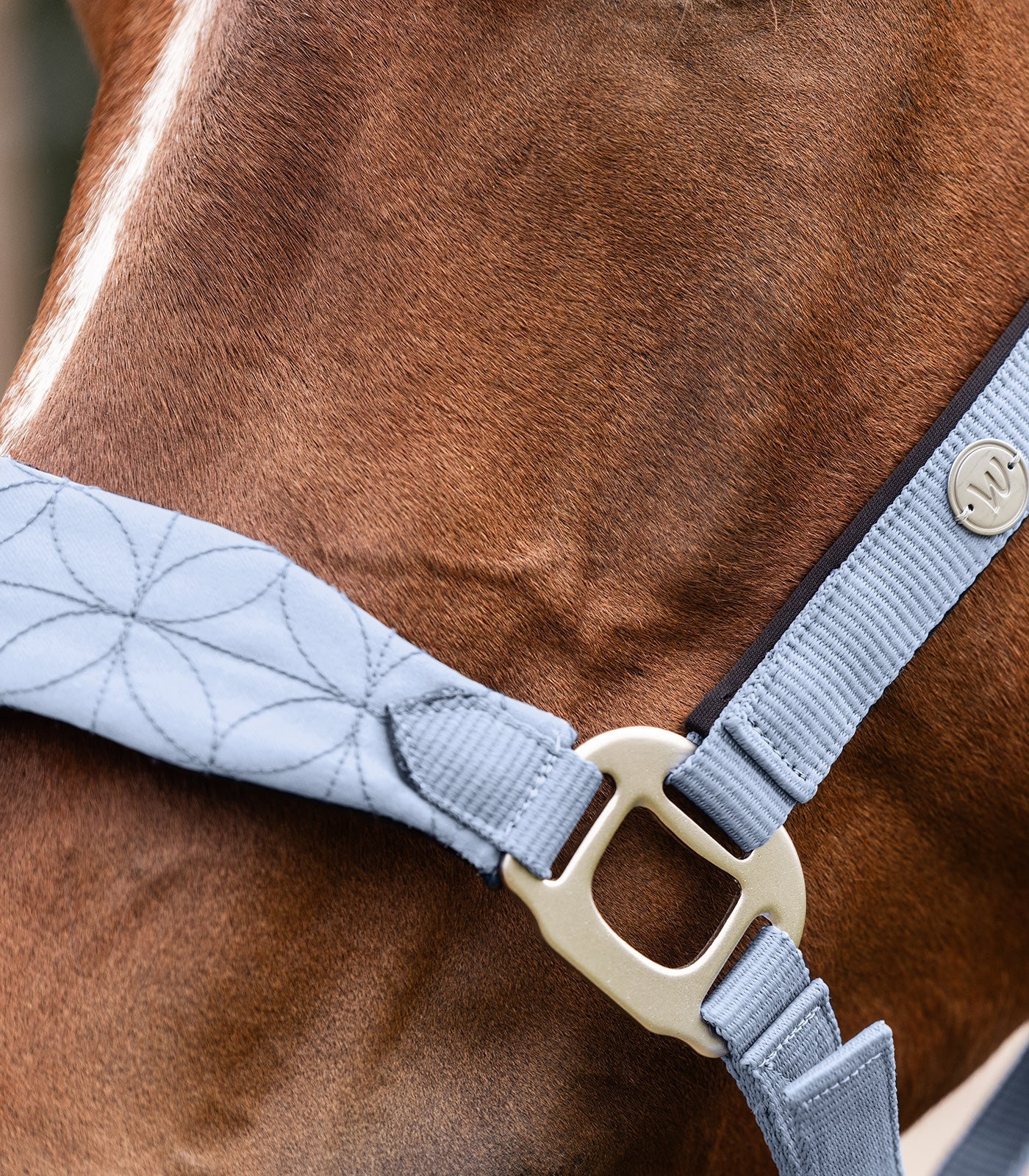 Waldhausen Halter Rom, pastelfarvet blå, Cob 3