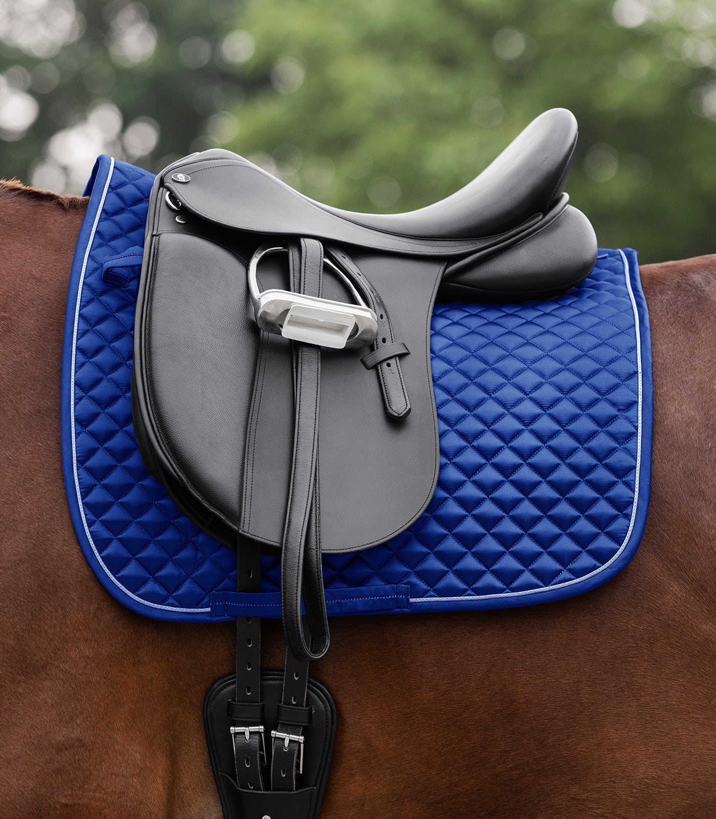 Waldhausen Saddle Pad Felix Glam, safirblå, Shetty 2