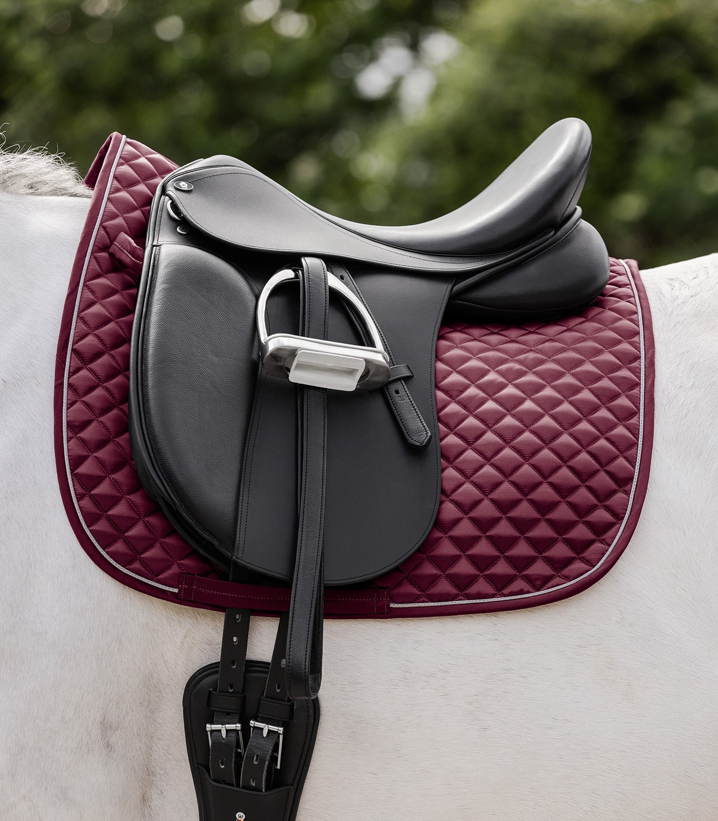 Waldhausen Saddle Pad Felix Glam, fløjl rød, Shetty 4