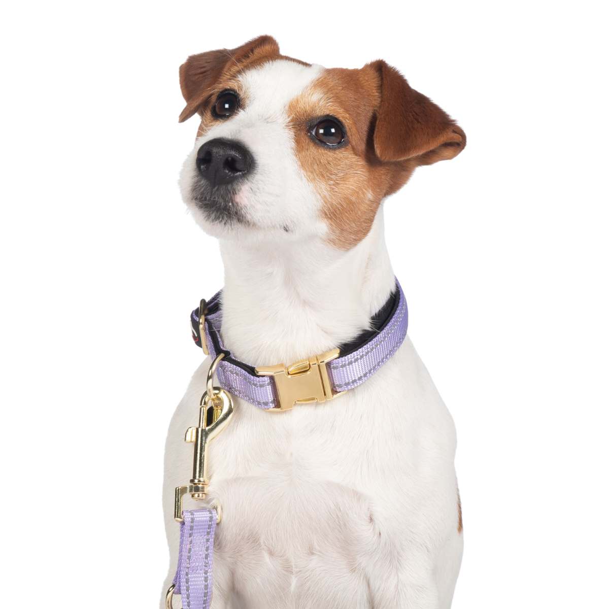 HKM Ida hundehalsbånd 10