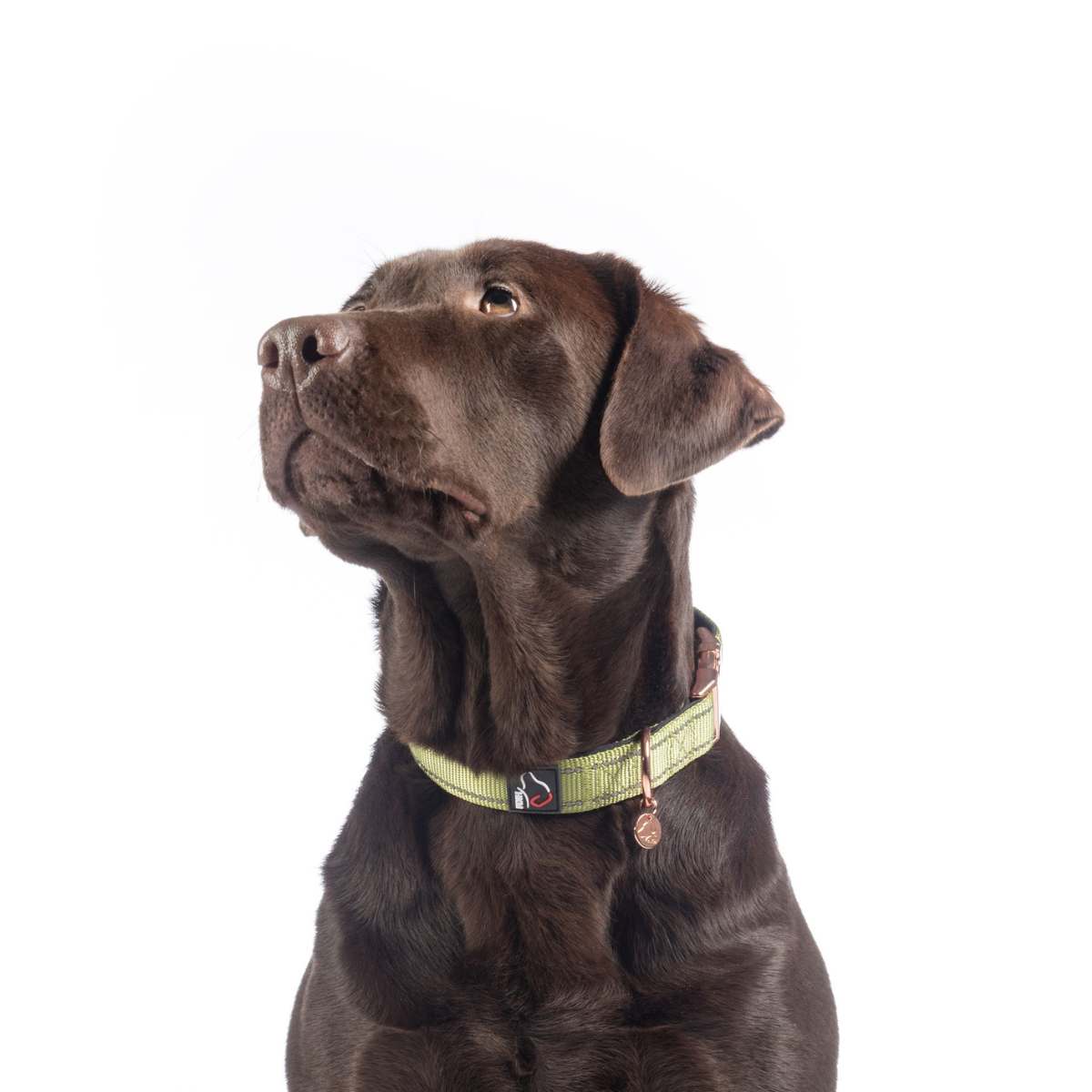 HKM Ida hundehalsbånd 9