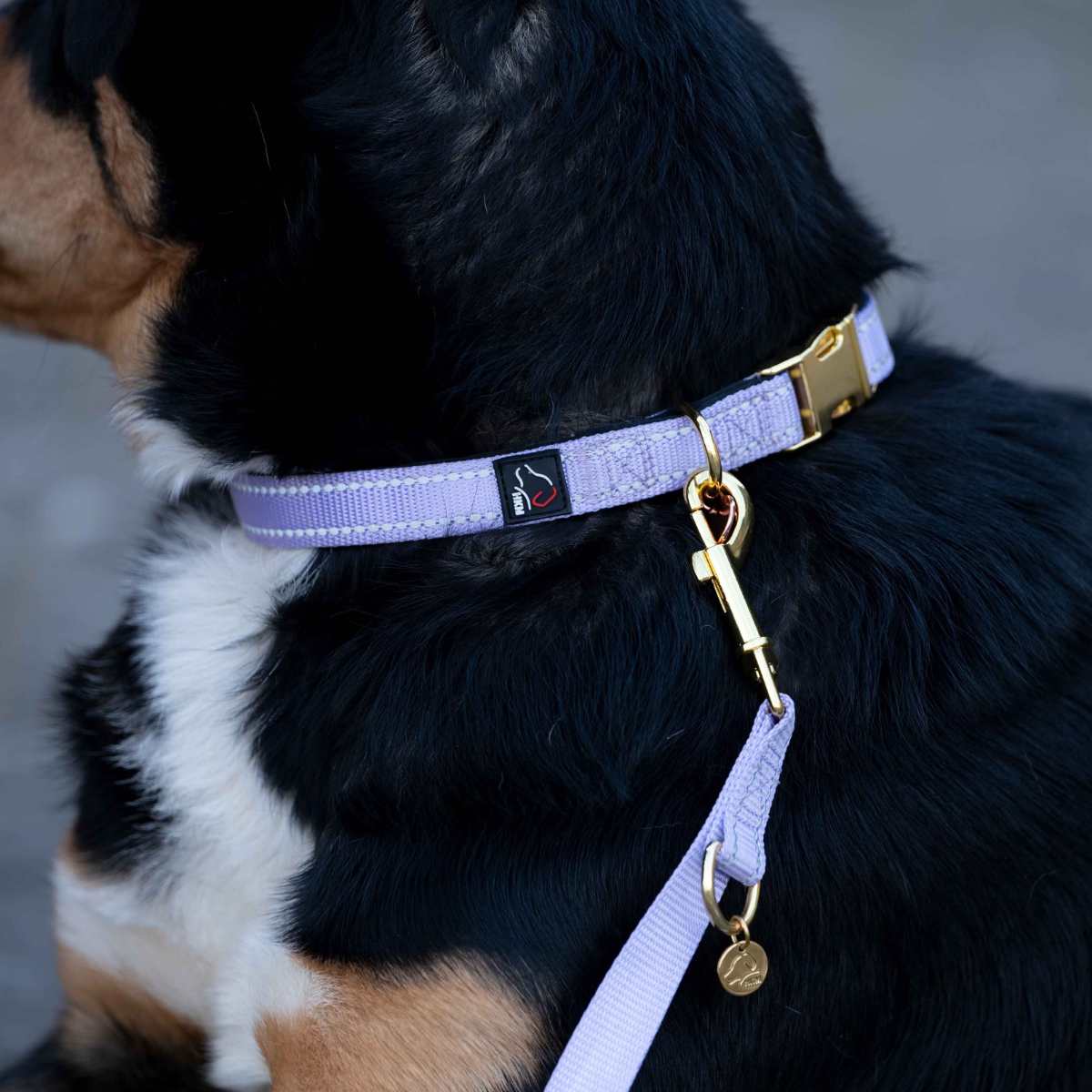 HKM Ida hundehalsbånd 4