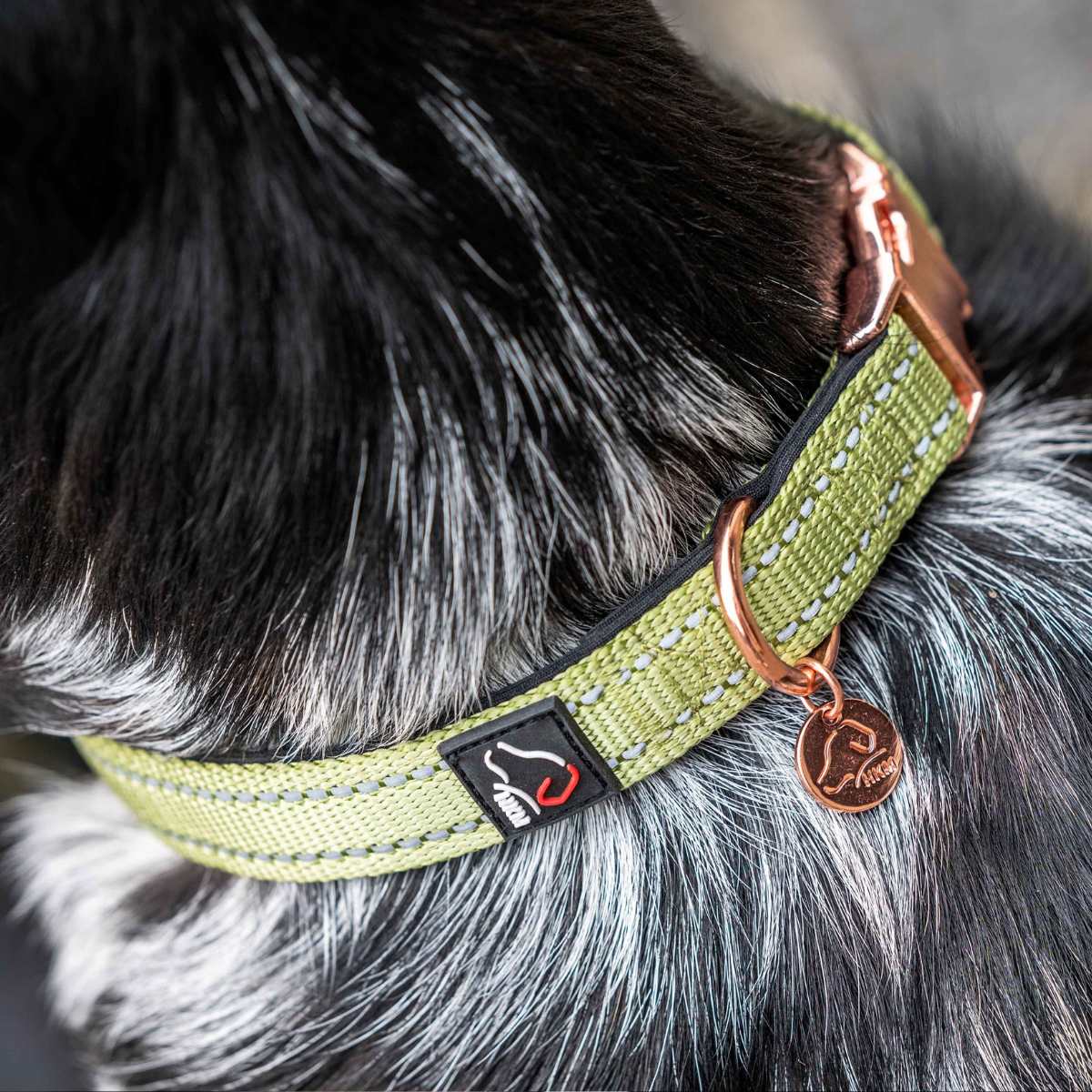HKM Ida hundehalsbånd 2