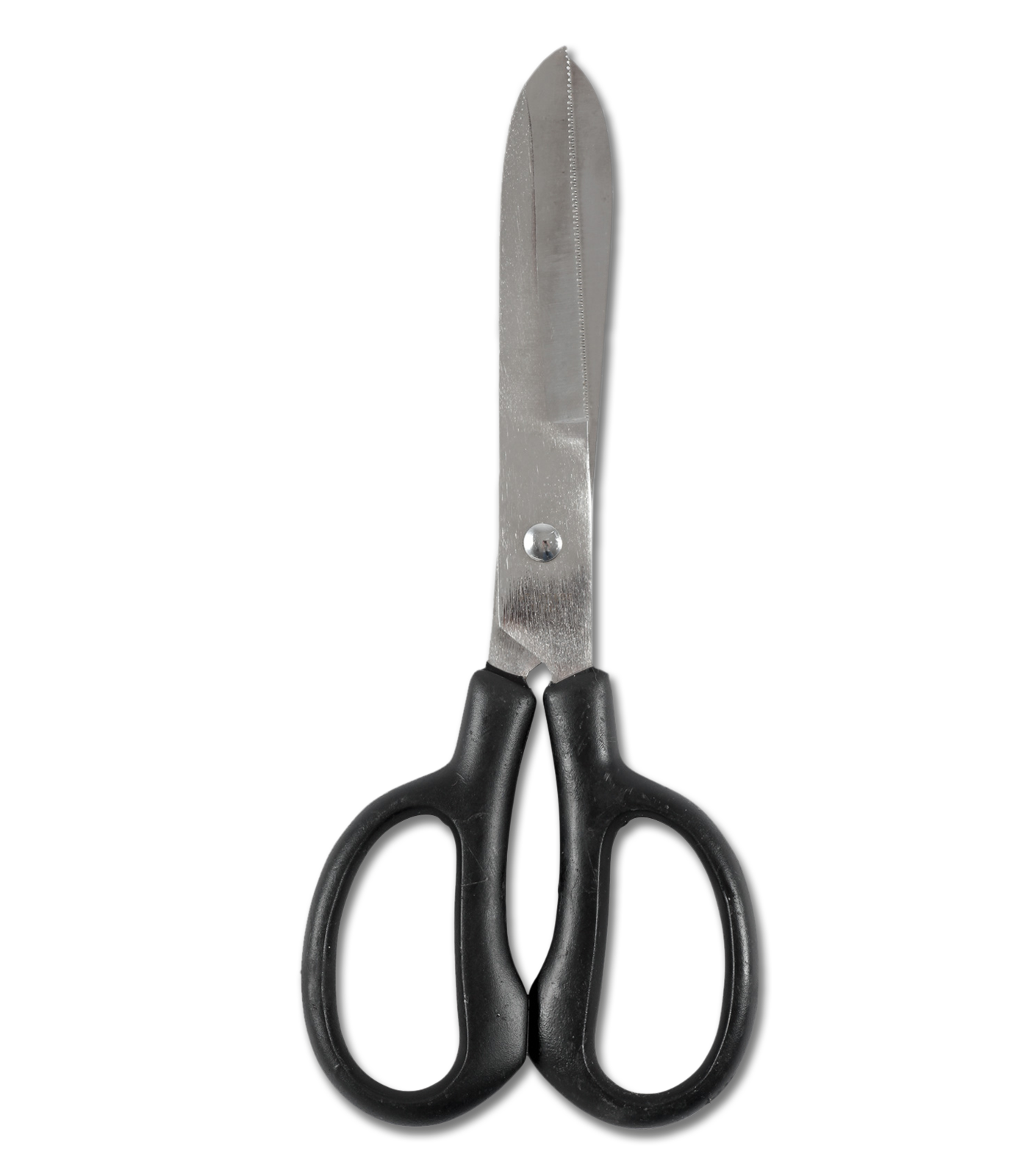 Waldhausen Fetlock Saks, Lang Bue 1