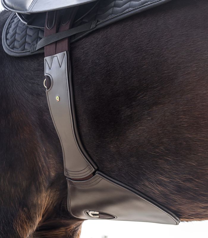 Waldhausen Leather Girth, with elastic and stud guard