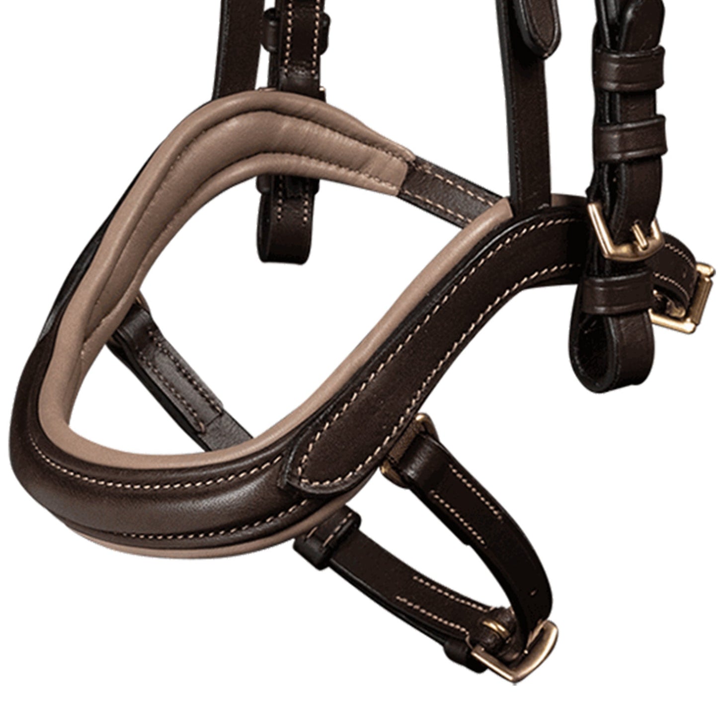 Waldhausen Islandsk anatomisk bid, brun 5