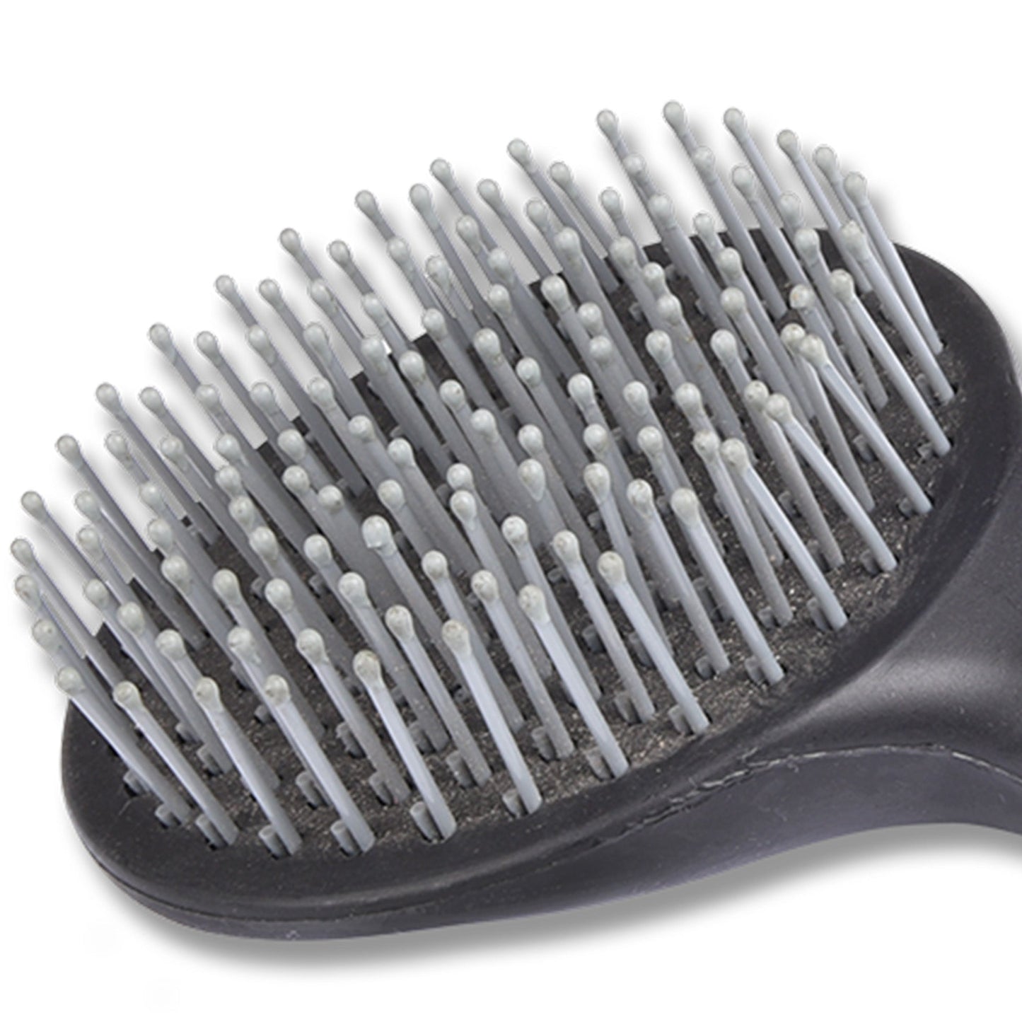 Waldhausen Manebørste sort, 24 cm 5