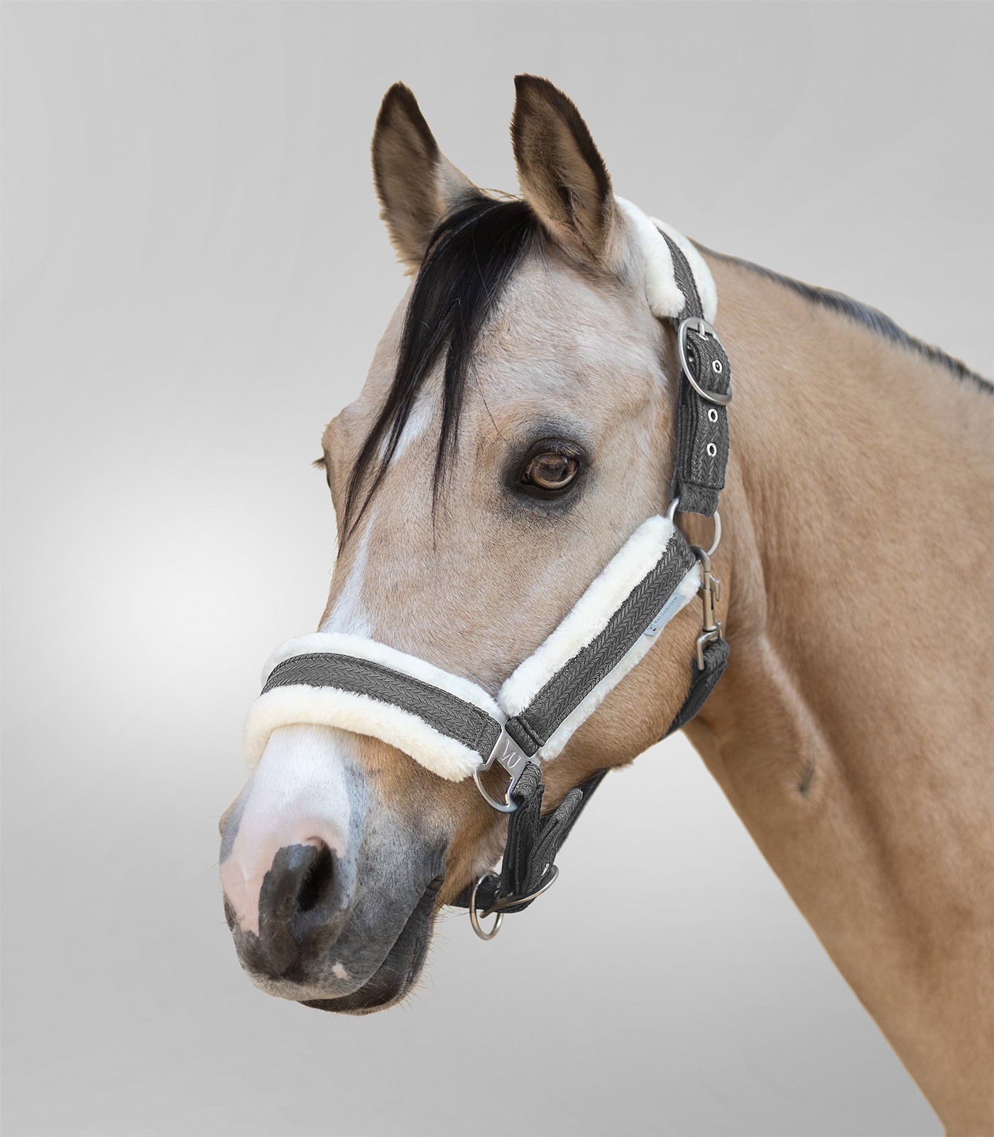 Waldhausen Sparkle Halter - Grå 6