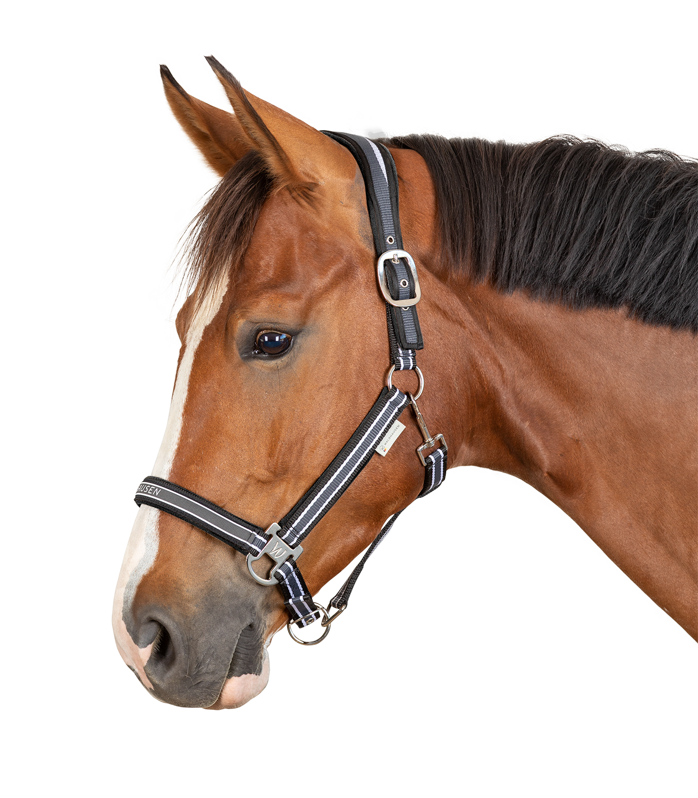 Waldhausen Athletic Halter - Asfalt/Sort 14