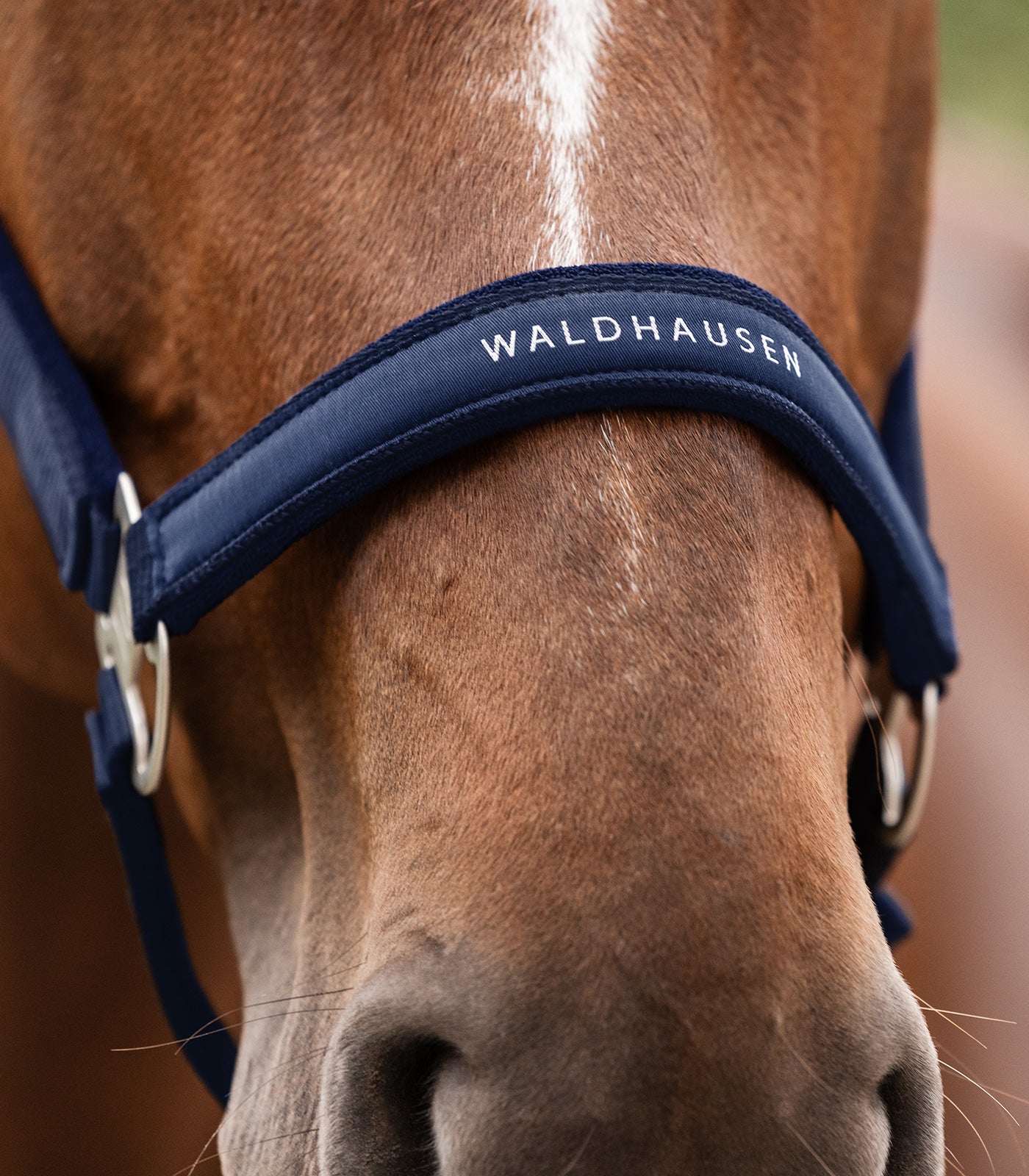 Waldhausen Athletic Halter - Nattens Blå 12