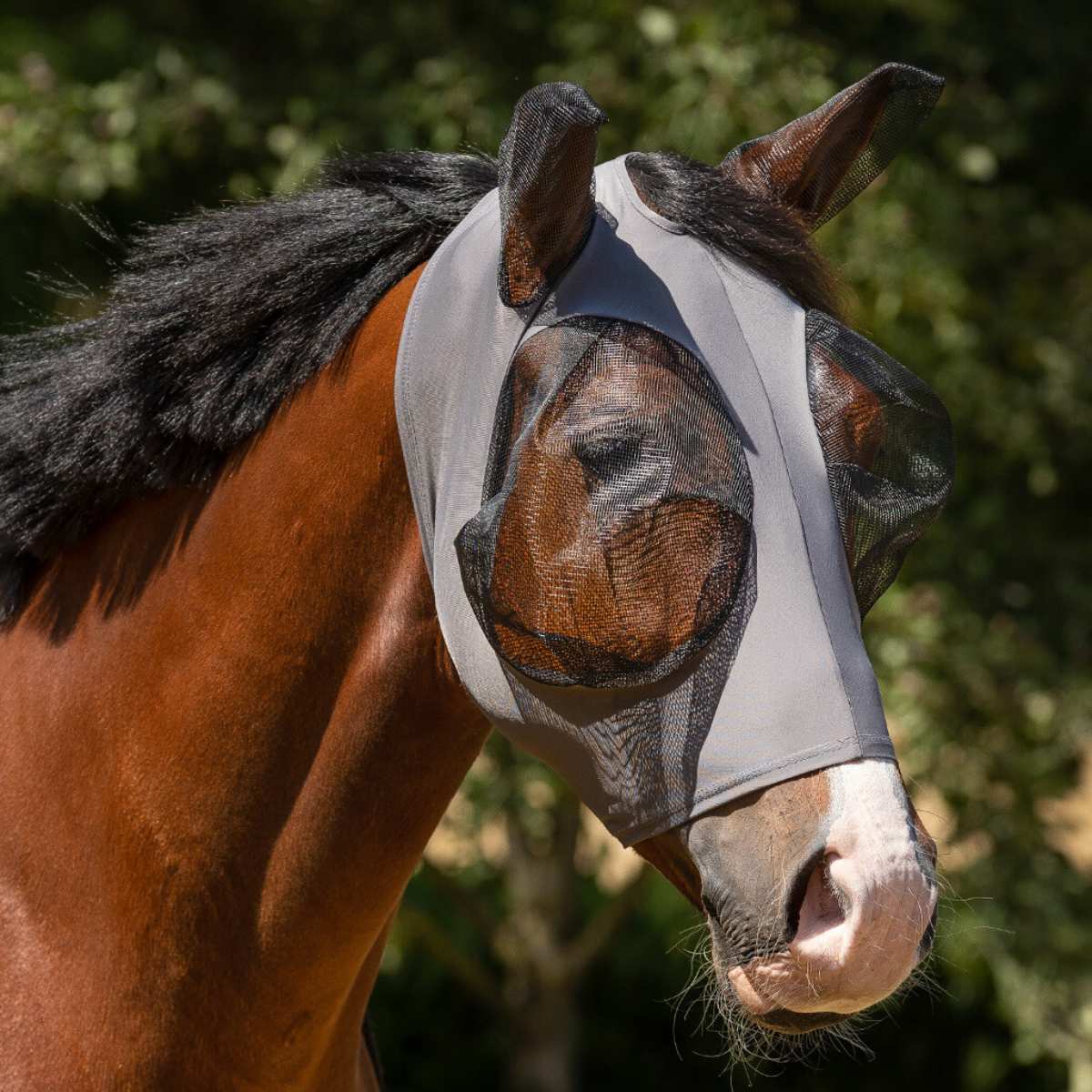 QHP Super Bug fluemaske 2