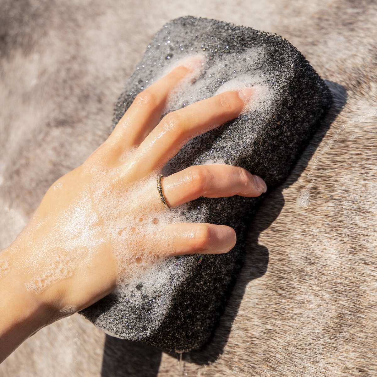 QHP Equi Super Shine svamp 9