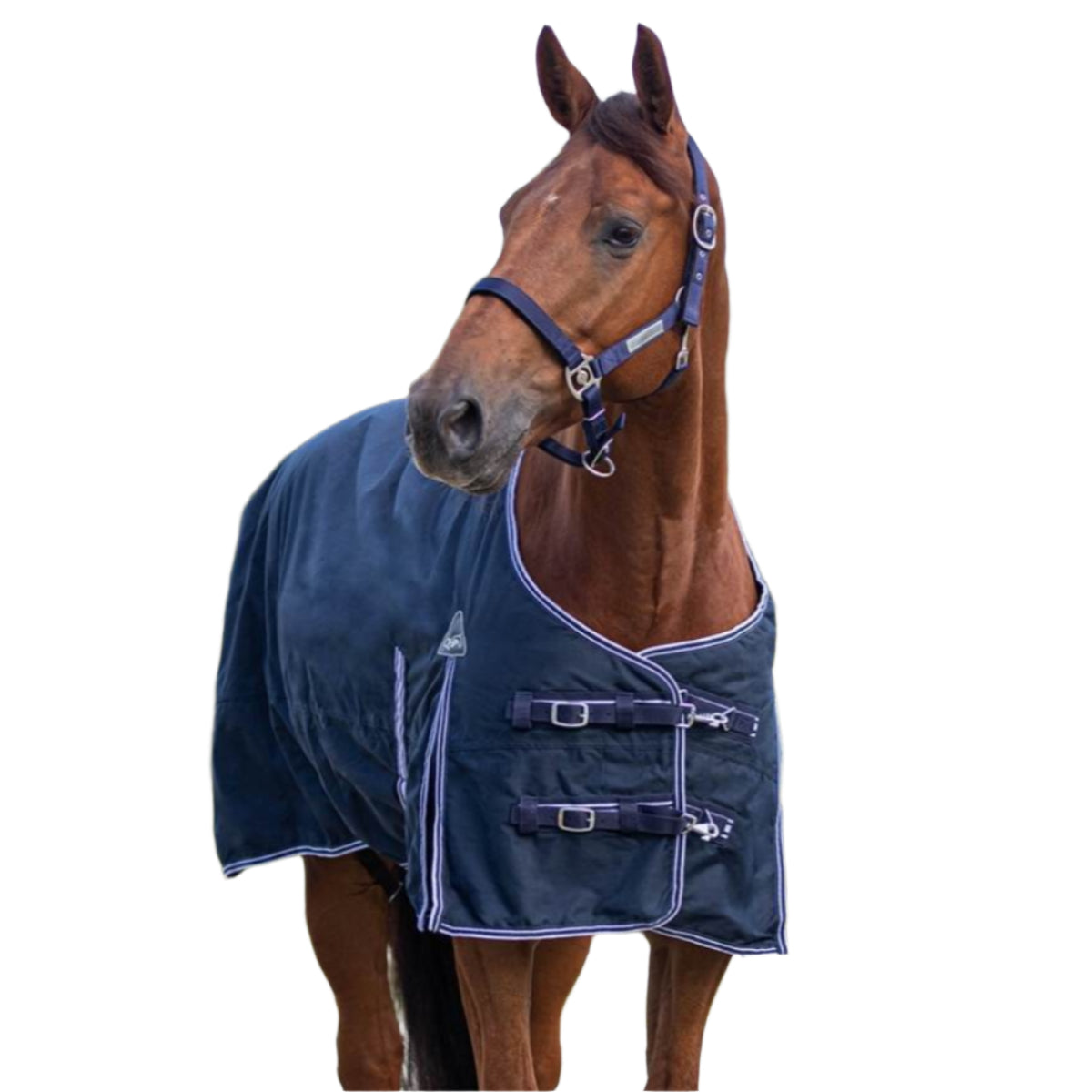 QHP Luxury Turnout regndækken 1