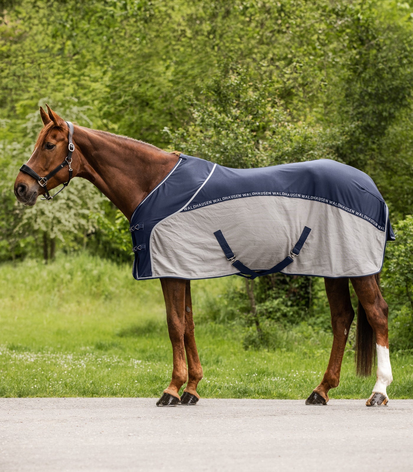 Waldhausen Cooler Fly-Summer Rug - Natt Blå/Grå 9