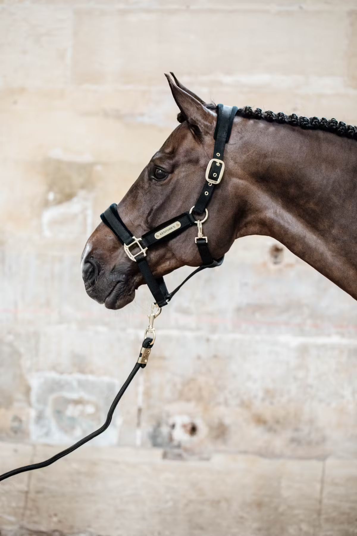 Kentucky Velvet Grime - Flere farver