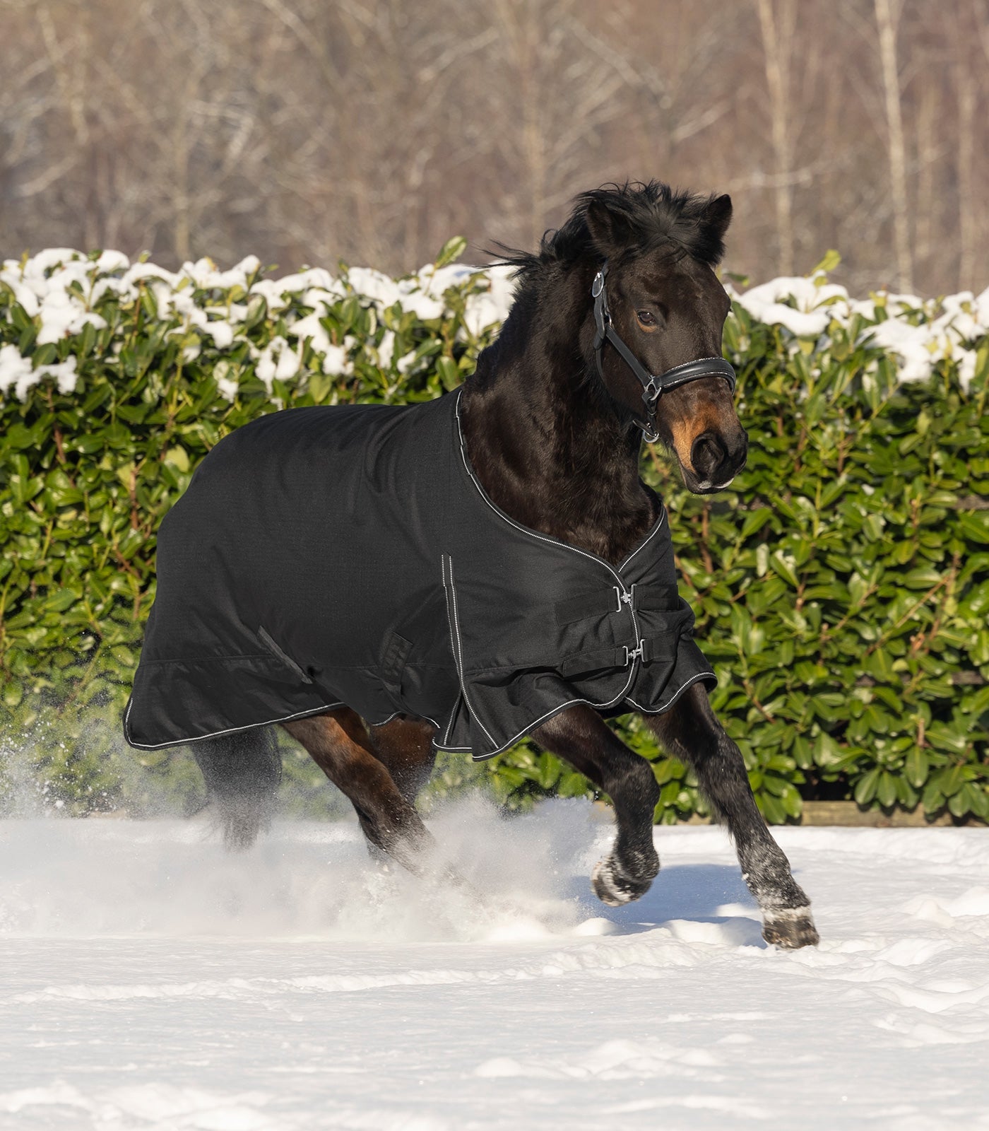 Waldhausen NORDIC Dækken, 100 g - Sort 45