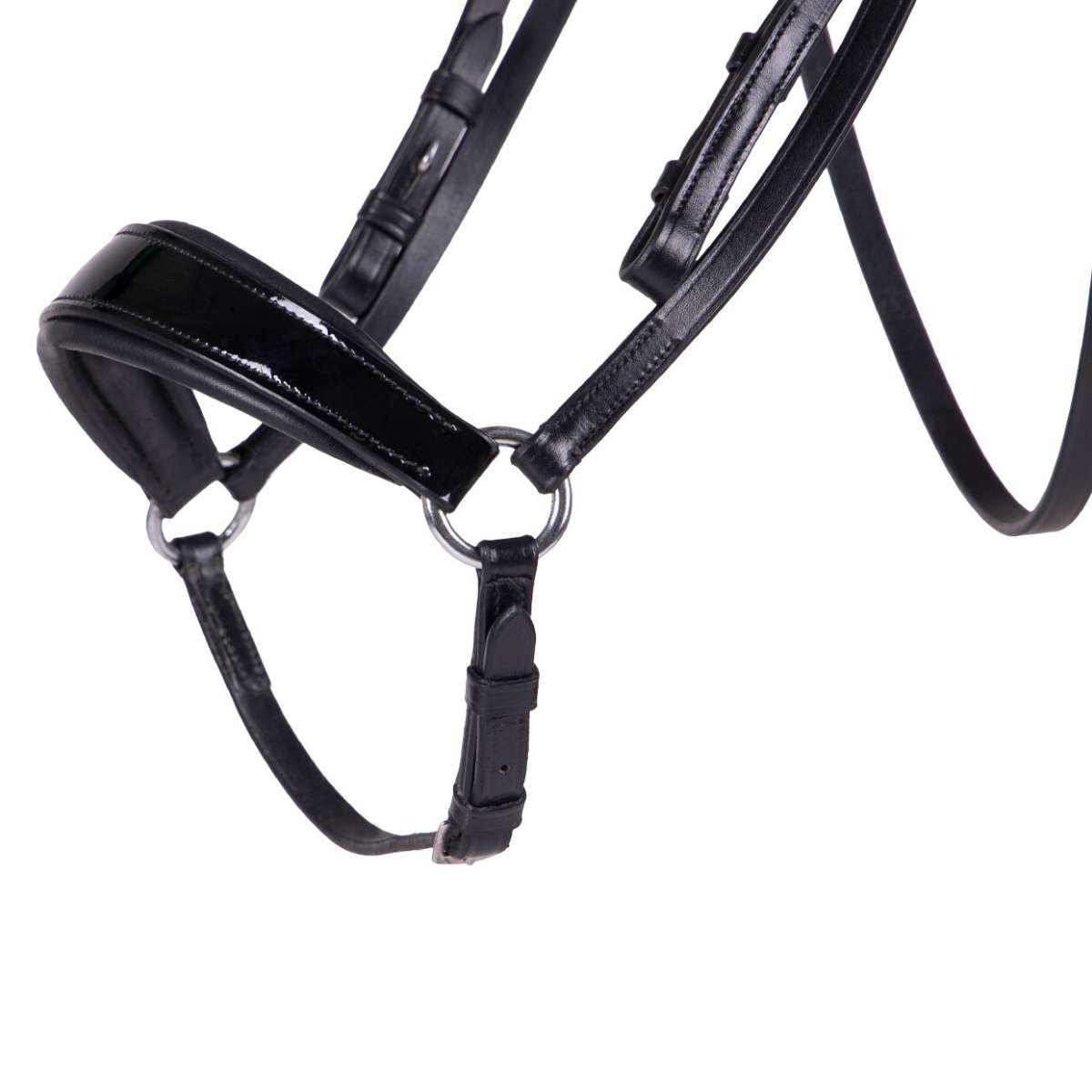 QHP Pheadra trense 5