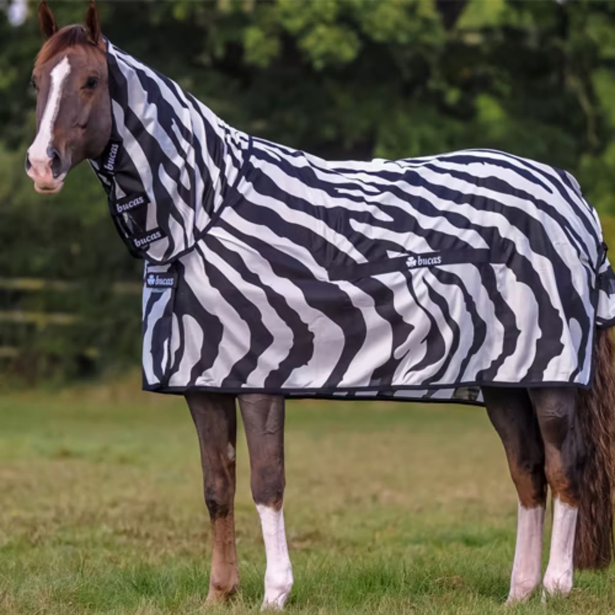 Bucas Buzz-off Zebra m hals