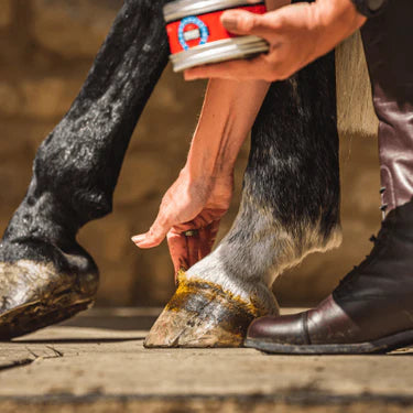 CDM Hoof Ointment