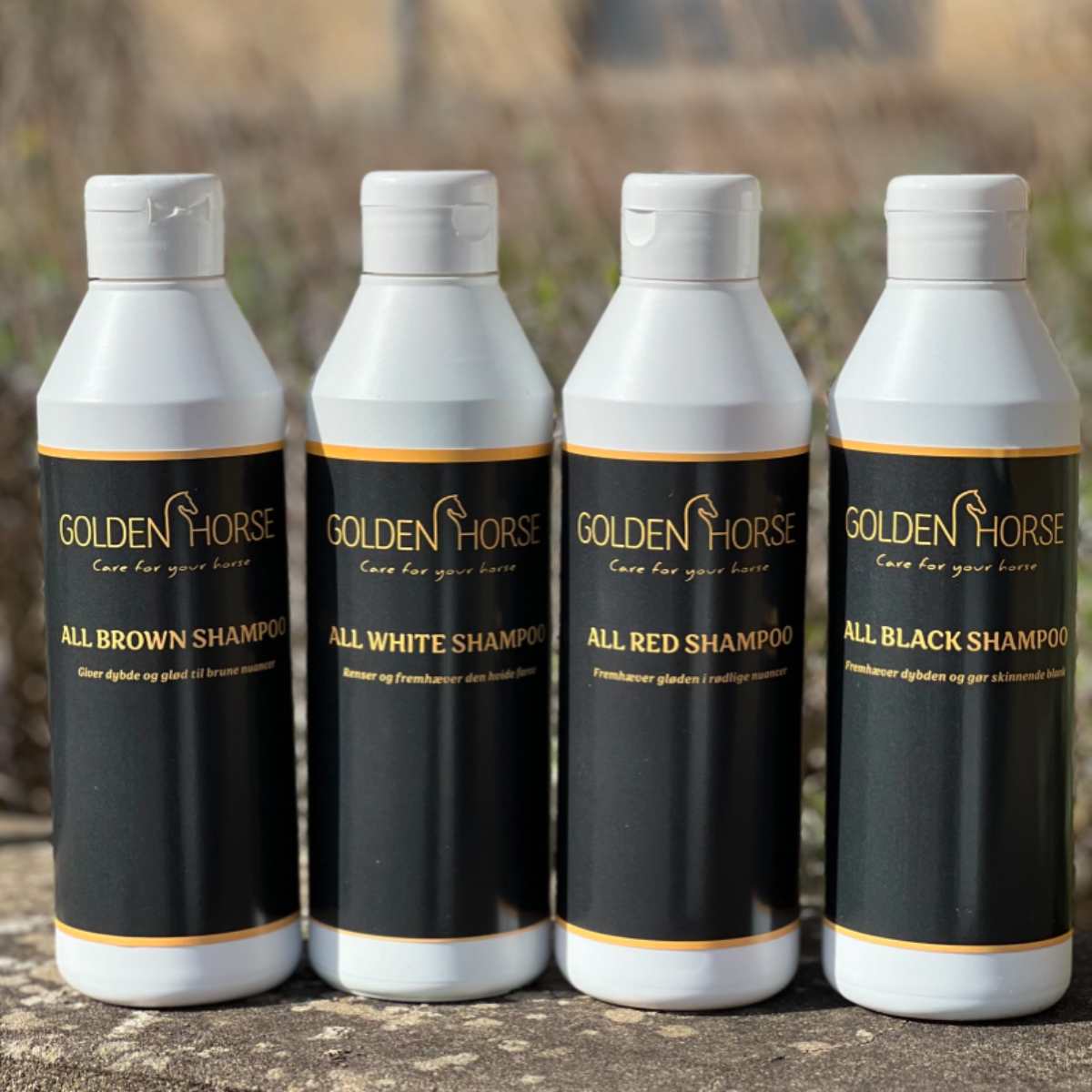 Golden Horse All Black shampoo 3