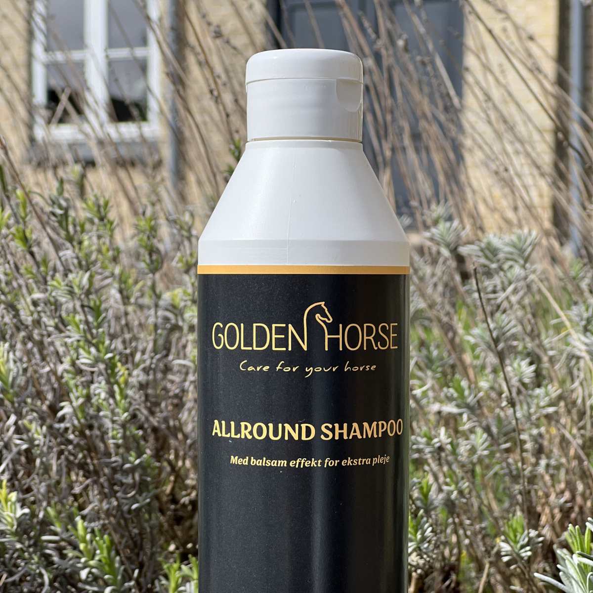 Golden Horse Allround Shampoo 2