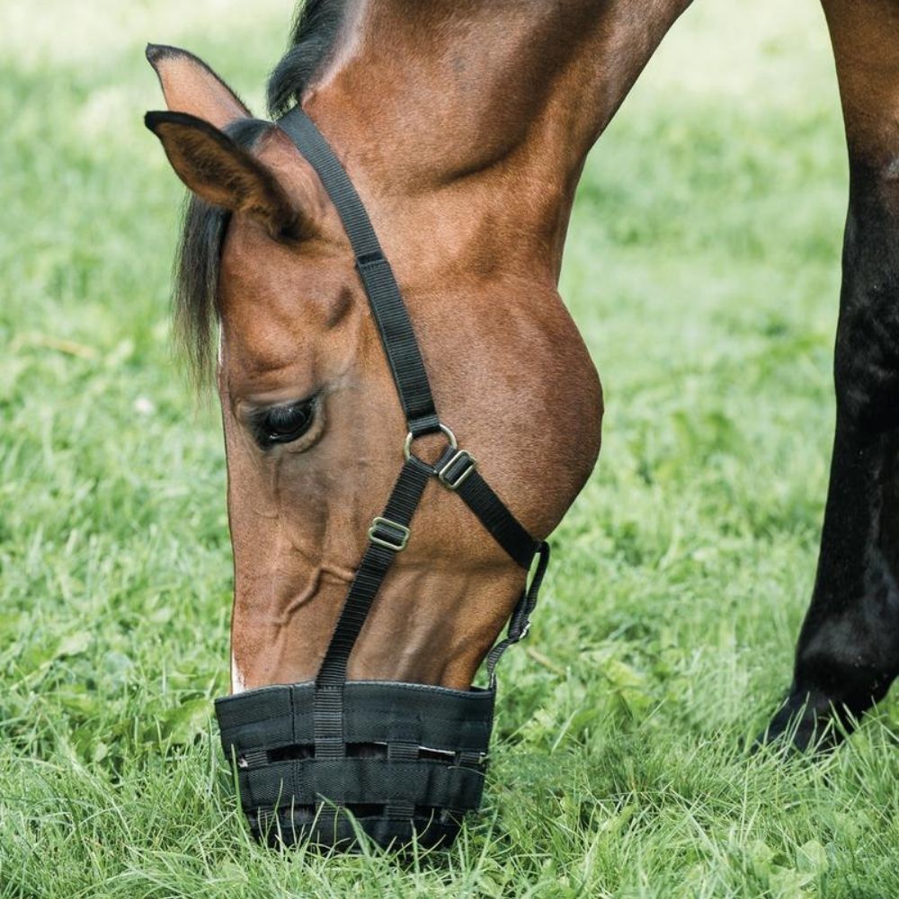 HorseGuard græsreducer 2