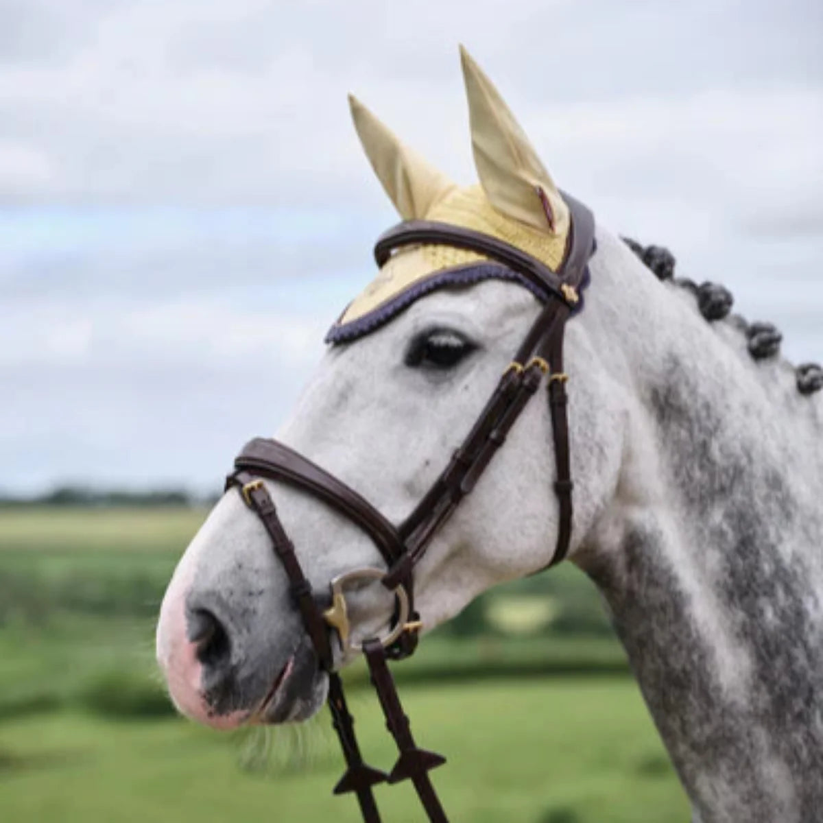 LeMieux Classic Hut - Mimosa