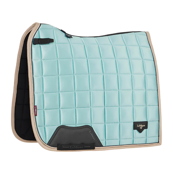 LeMieux Loire Dressur - Aqua