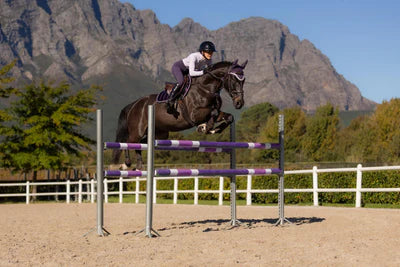 LeMieux Loire Classic Close Contact Square