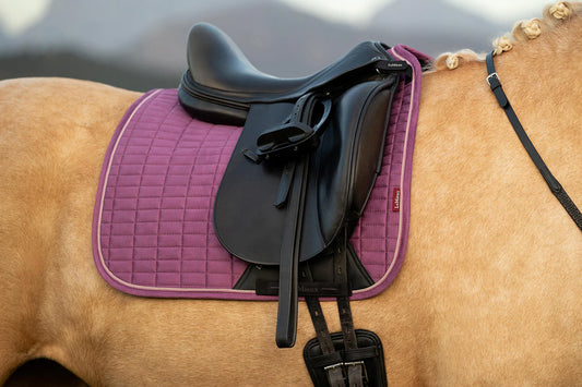 LeMieux Suede dressage Square SS26