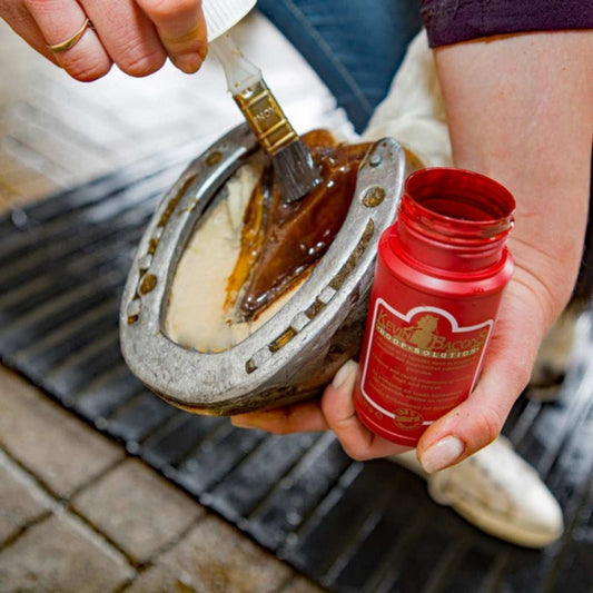 Kevin Bacon Hoof Solution 2