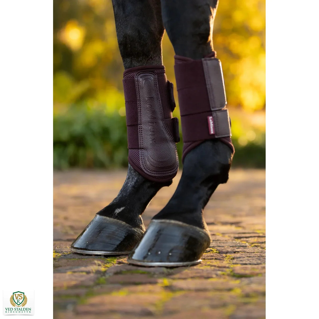 LeMieux Arika mesh gamacher