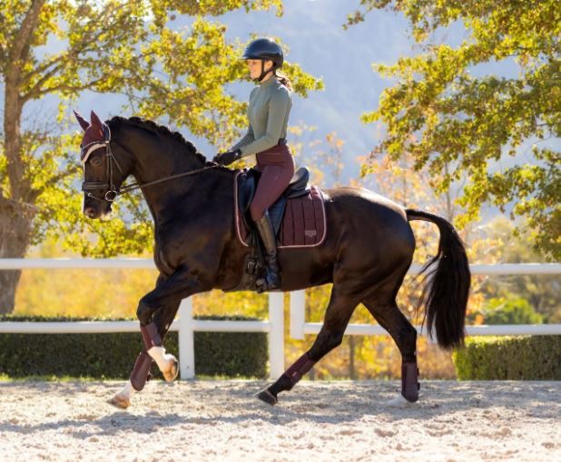 LeMieux Loire Classic dressurunderlag