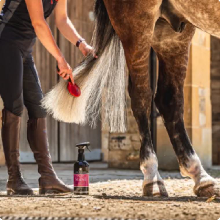 CDM Canter Mane & Tail