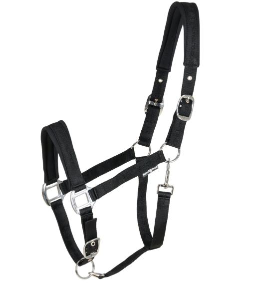 Horse Guard Diya grime 2.0