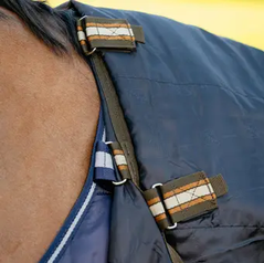 LeMieux Arika Ripstop 100g Turnout Rug
