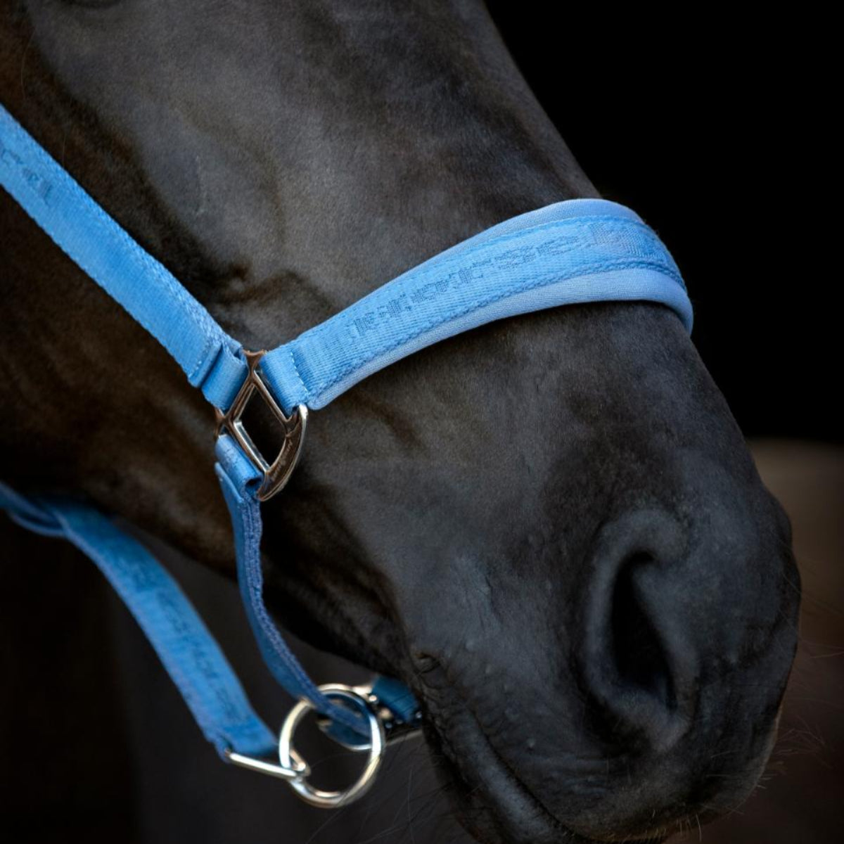 HorseGuard Diya grime - Coronet Blue