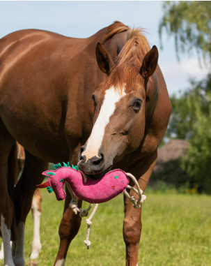 QHP Horse Toy