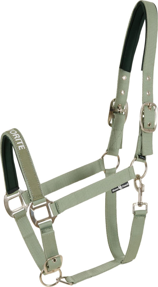 Horse Guard Malva grime "My Favorite"