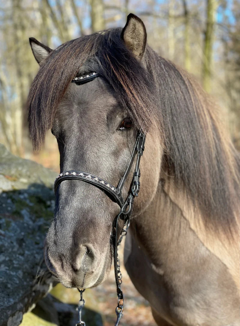 PH deluxe pandebånd “diamond black&white”