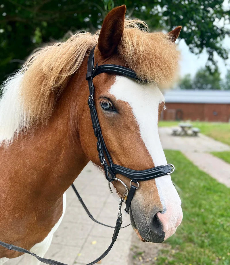 PH deluxe næsebånd "training"