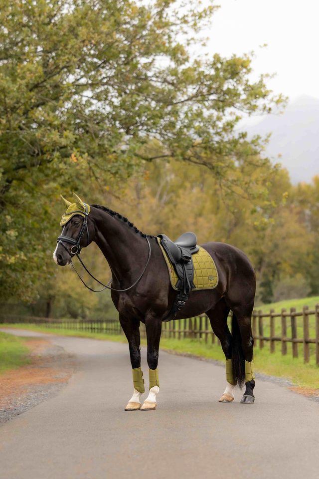 LeMieux Loire Classic Square Dressurunderlag AW26