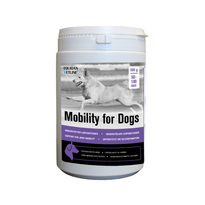 Mobility for Dogs