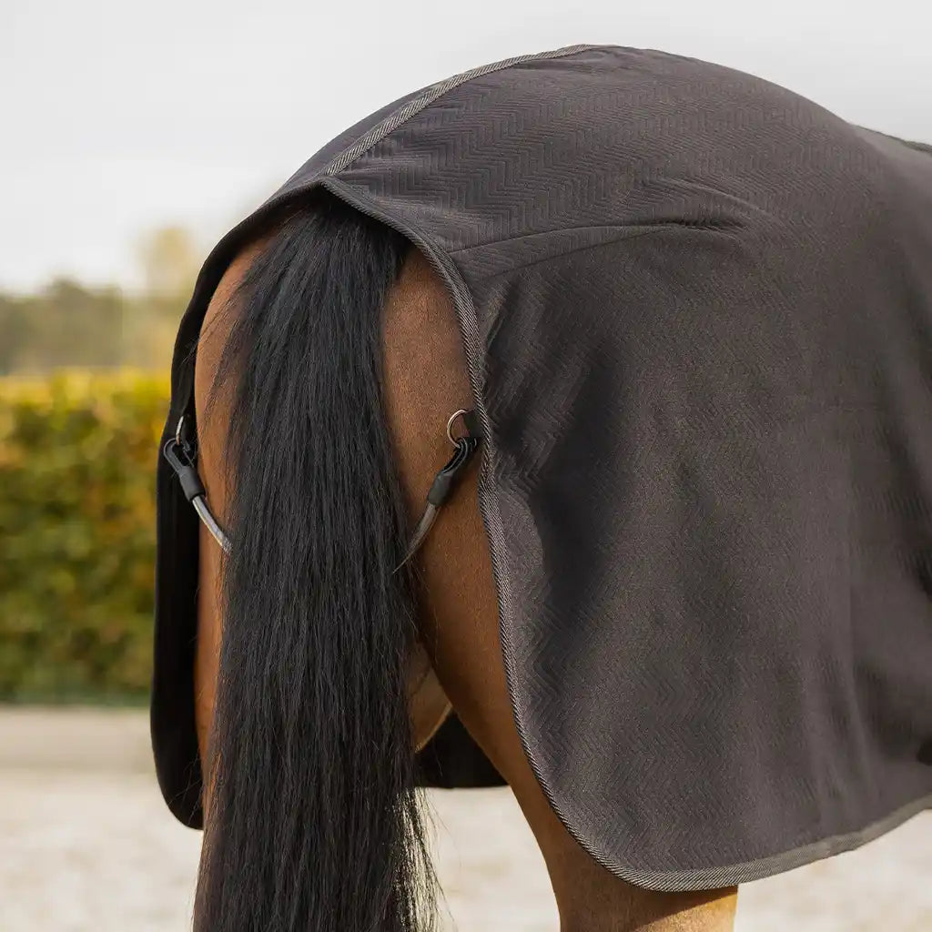QHP Show rug Avenna