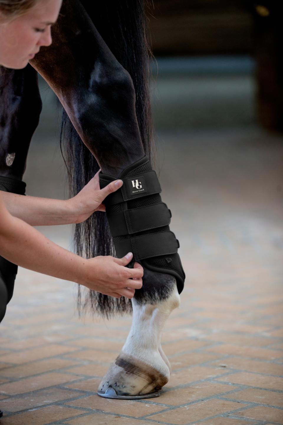HorseGuard Timothy mesh dressurgamacher
